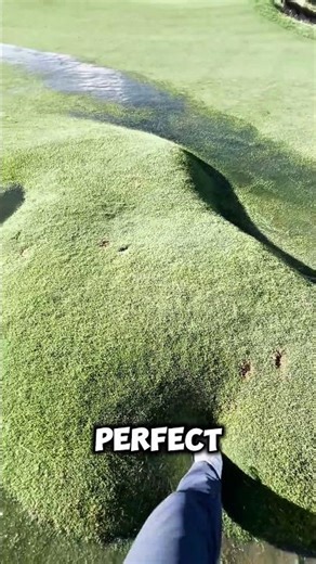 How to build a perfect golf course ⛳✨
