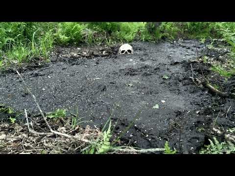 One with the mud - Masurian Bogs 2025 | day 2-1