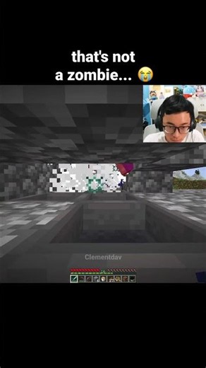 Minecraft Zombie Moment