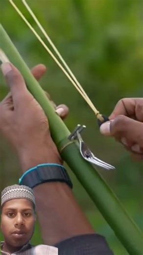 creative Fork and bamboo slingshots #ytshorts #shortsfeed #diybamboo