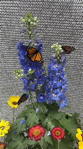 Happy first day of spring in San Diego!