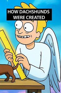 Ever wondered how Dachshunds were created? 😂🥸 🌭 | Alpha Paw