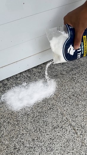 3.9M views · 68K reactions | Put salt on your front door and the next day you won't believe the results!  | Home Tips | Facebook