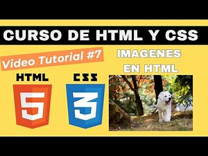 Aprende sobre el manejo de imagenes en HTML y CSS | Curso de Desarrollo Web