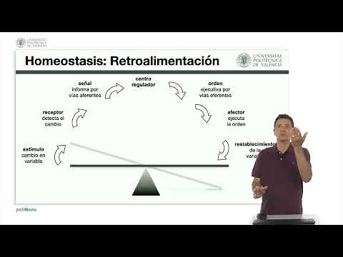 Homeostasis and its control mechanisms | 25/50 | UPV