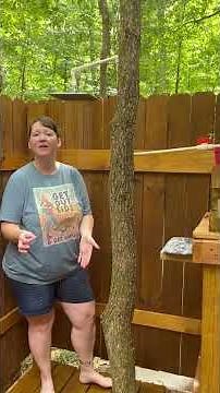 Our Off-Grid Rain-Fed Outdoor Shower