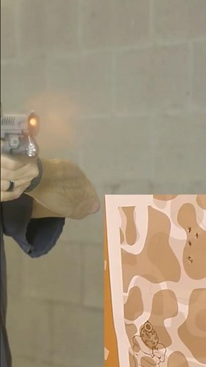 Shooting the Sig 365 Fuse #sigsauerp365