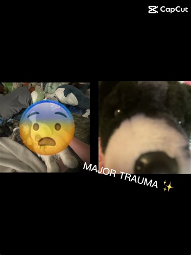 Collab with ~.lizard's tail🦎