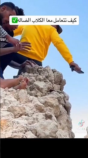 #كيفية تعامل مع الكلاب الضالة