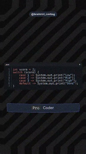 Noob vs. Pro Coder: Switch Statements in Java - Explanation in comments! #coding #java #programming