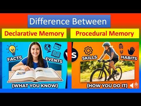 Differences between Declarative Memory vs Procedural Memory