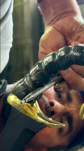 Forged Knife Making: The Art of Craftsmanship