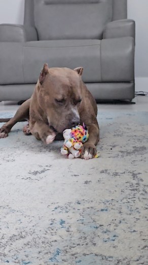 Dudududu Lalala Meme Trend Explained