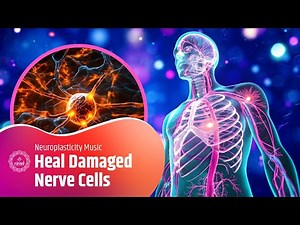 Heal Damaged Nerve Cells – Boost Nerve Regeneration & Repair - Neuroplasticity Music
