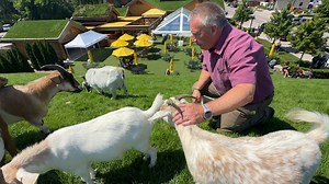 Al Johnson's restaurant celebrates 75th anniversary