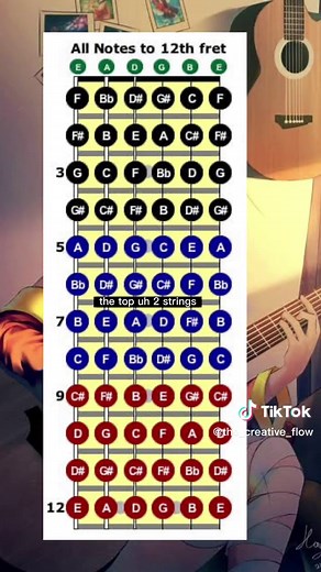 Learn Your Notes #guitar #fretboard #learn #notes #beginnerguitar #guitartok #foryou #fyp #tiktok #tik_tok #australia