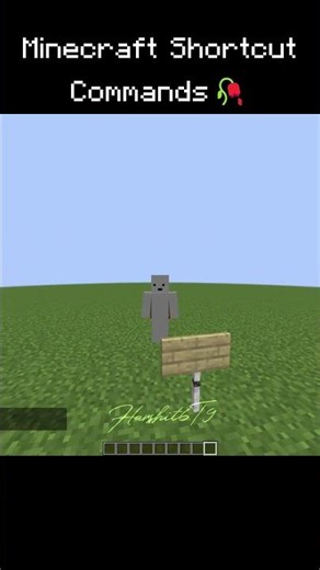 Secret commands in minecraft