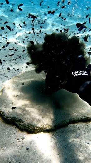 I smashed the cursed bottle... The water turned BLACK! 🌑🔨⚠️