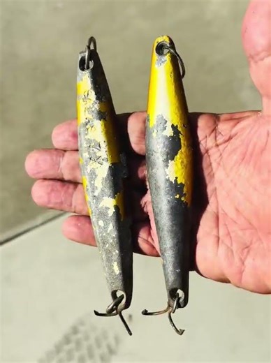 Throwing surface Iron for calico bass is a very effective way to target big Calico bass !! 🇺🇸💈