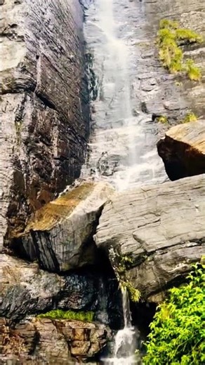 A love story carved in water 💧#naturelovers #nature #exploresrilanka