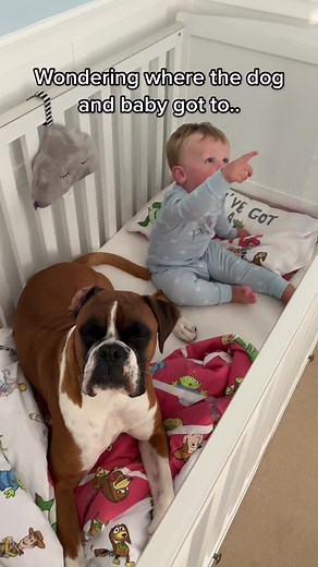 Dog and Baby Playing Games Together | Best Friends Moments