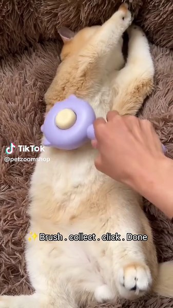 Brush . Trap . Dump !🗑 Fur cleaning made simple ✨️ 1️⃣ Self-Cleaning Magic! No more touching gross fur - just press the button! ✨ 2️⃣Fur Trap Teut scattering 🐾 lects 99% of loose hair without scattering 🐾 3️⃣Gentle on Skin - Tough on Fur! Massage-like bristles that cats adore 😻 #cat #catbaby #fury #happycat ##Fyp #shopcat #catbrush #Catlife #kitten #Lover ##Catcare #catfunny #USA #usacats