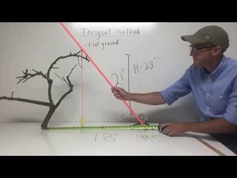 Tangent Method on Flat Ground | Video Series on Tree Height Measurement