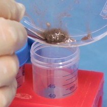 Video: Cell Population Analyses During Skin Carcinogenesis