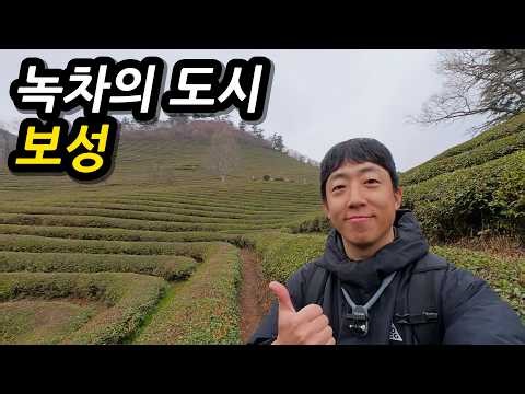 Boseong, the City of Green Tea! Cherry Blossom Riding from the Healing Green Tea Fields to Gangji...