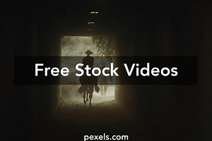 Reverse Cowgirl Videos, Download The BEST Free 4k Stock Video Footage & Reverse Cowgirl HD Video Clips