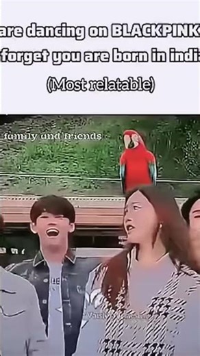 do notice parrot in this video