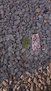 68K views · 7.3K reactions | Samsung S24Ultra screen quality display. # Samsung # Mobile # Mobile Digital # s24ultra #s23ultra | Trendy Tech Review | Facebook