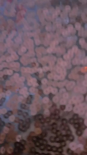 #like #fry #foryou #fpy #lps #🌅