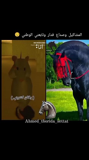 ديرو ابوني نوصلو 6k #ahmed_tborida_settat #tbourida #tbourida_morrocan_culture #tbourida_zenata #tbourida_style_life_style_heros #tbourida_time #تبوريدة_تراث_مغربي_نفتخر_به #تبوريدة #الخيل #الخيره_فيما_اختاره_الله #explore #fyp #fashion #fypシ #horses #horse #explorepage #casablanca #settat #rabat #morocco🇲🇦 #maroc #خريبكة #أدعمونا_ب_لايك_وكومنت_ومنشن_للأصدقاء #100klikes #100kfollowers #من_طنجة_للكويرة #خيل_عربي | Ahmed janah