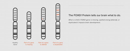 What is FOXG1 syndrome?