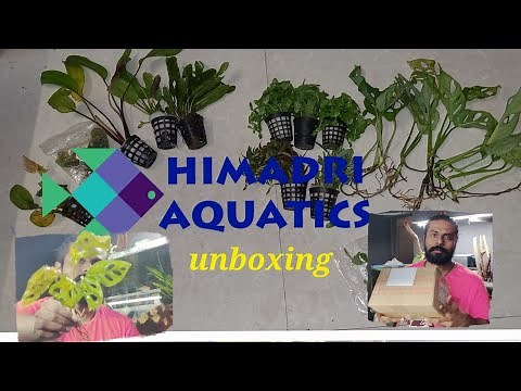 Himadri aquatics plants unboxing and review