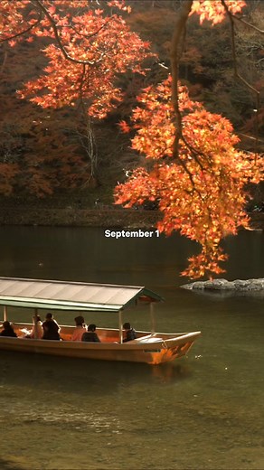 As far as we're concerned, it's fall, y’all. 🍁 Here are our contributors’ picks for the best places to travel in autumn 2025: 📍Sequoia National Park, California: This approximately 320-square-mile park is one of the best U.S. national parks for catching fall foliage. 📍Kyoto, Japan: Hop aboard the Sagano Romantic Train just 20 minutes outside of the city for a beautiful ride through the maple-lined Hozukyo Ravinet—starting at just $6 USD. 📍French Polynesia: Fall is the sweet spot to check off