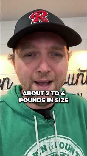 👨‍🌾🪏🎩 Difference Between Gophers & Groundhogs