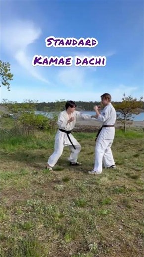 Different Goals, Different Stances #karate