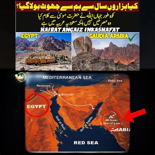 45K views · 1.7K reactions | In this video, we explore the story of...