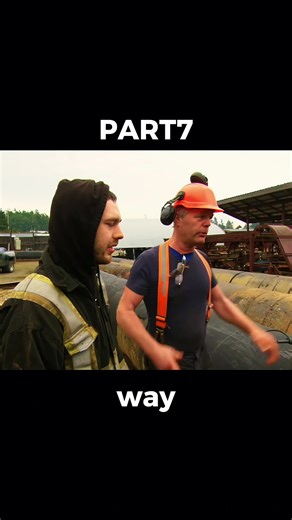 Understanding Logging Processes for Big Timber Projects