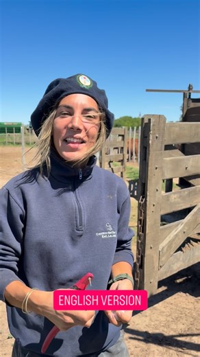 Tina on Instagram: "We’re now using the XRS2i Stick Reader to scan the new EID tags on our cattle 🐮✨ Each tag stores the animal’s unique ID number, and with the reader we can instantly record things like weights, treatments, and movements. Technology keeps changing how we manage cattle — one step at a time, a little smarter every day 🤠💻 #ranchlife #ranch #farm #farmlife #campo #campoargentino #cow #eid #cattle"