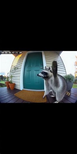 Epic Moments Caught On CCTV #epic #epicmoments #unbeliveable