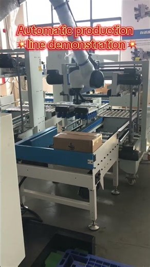 Robotic palletizing demo: integrating into automated production lines. 🔥🔥#palletizerrobot #demo