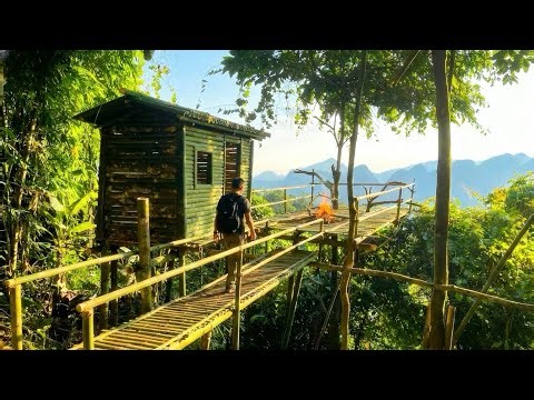 I Built a Safe Elevated Shelter Deep in the Jungle
