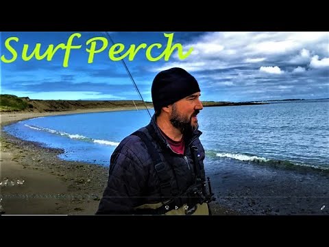 Fly Fishing in the Pacific Ocean - WHAT?!? Help Needed; How do you Catch These Things on a Fly Rod?