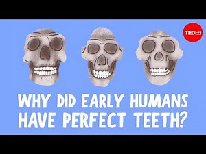 Why do we have crooked teeth when our ancestors didn’t? - G. Richard Scott