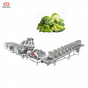 [Hot Item] Industrial SUS304 Apple Washing Equipment Fruit Washer / Lemon / Orange / Apple Washing Machine