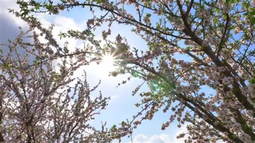 Lagu Cinta oleh Asmara Band - Lirik Lengkap