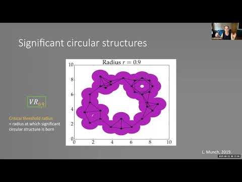 Kathryn Hess (08/22/25): Topological & geometric pipeline for analyzing cyclic gene expression
